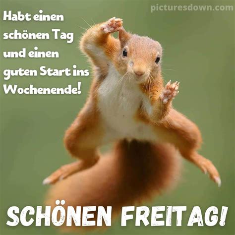 guten morgen freitag lustig